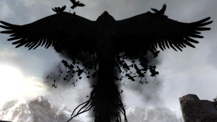 [44+] Crow HD Wallpaper 
