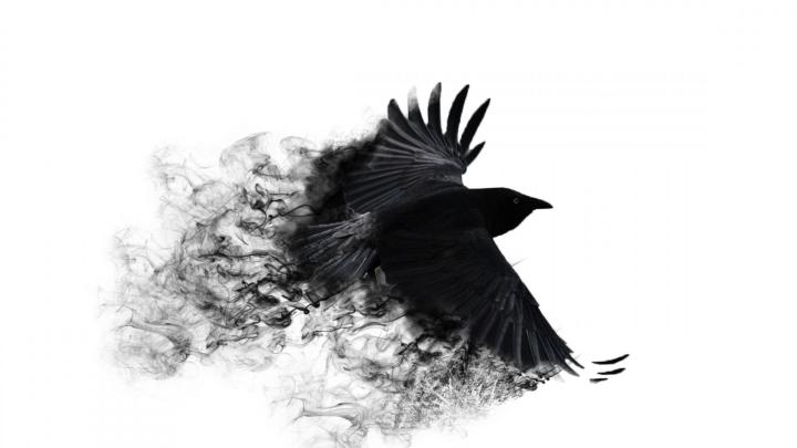 The Crow Wallpapers - Top Free The Crow Backgrounds - WallpaperAccess