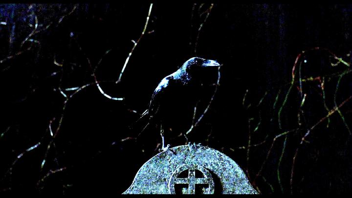 Crow Desktop Wallpaper (67+ images)