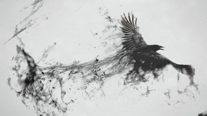Black Crow [1920x1080] : wallpaper