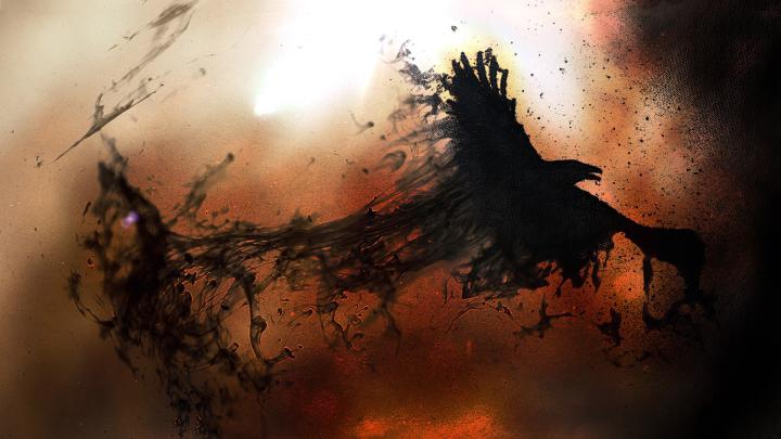 Crow wallpaper | 1920x1080 | #45920