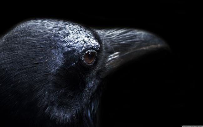 The Crow 4K Wallpapers - Top Free The Crow 4K Backgrounds - WallpaperAccess