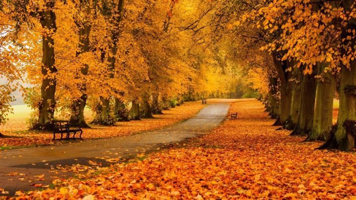 Fall Wallpaper for Desktop 1920x1080 (60+ images)