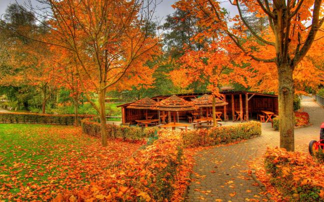 HD 1080p Fall Wallpaper (79+ images)