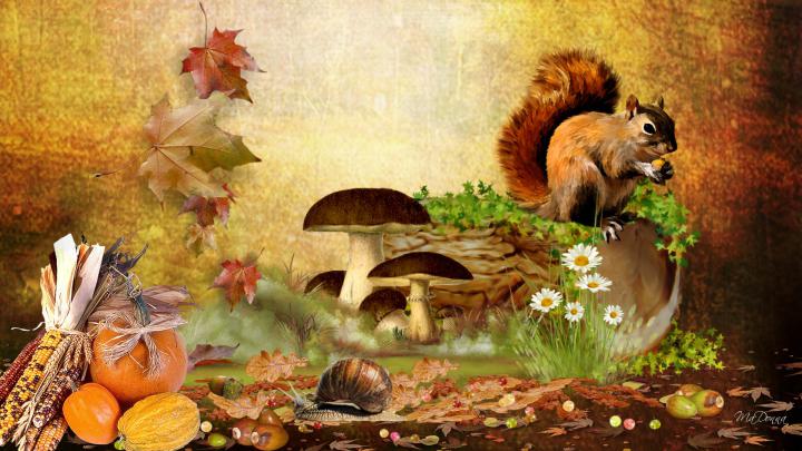 Fall Wallpapers For Android (16 Wallpapers) \u2013 Adorable Wallpapers