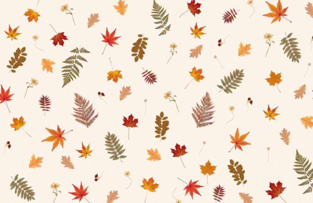 Pressed Autumn Leaf Pattern Wallpaper Mural | Fall wallpaper, Cute fall 