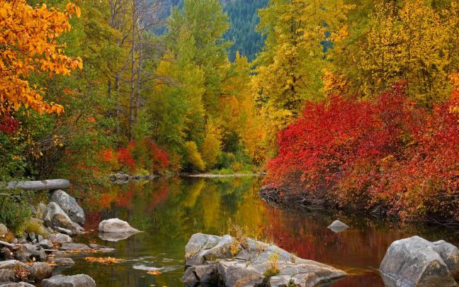 Desktop Backgrounds Fall