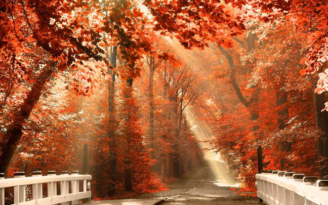 HD Fall Wallpaper for Desktop (61+ images)