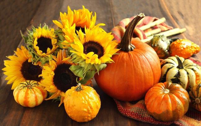 Fall Pumpkin Wallpapers