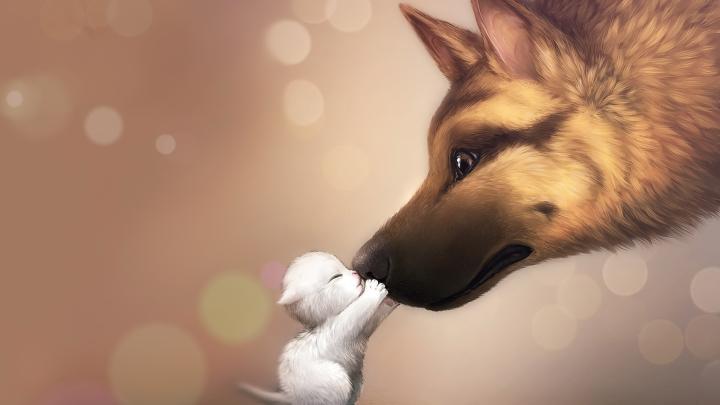 Love, Animated, Cute, Dog, Wallpaper, Full, Screen, High, Resolution 