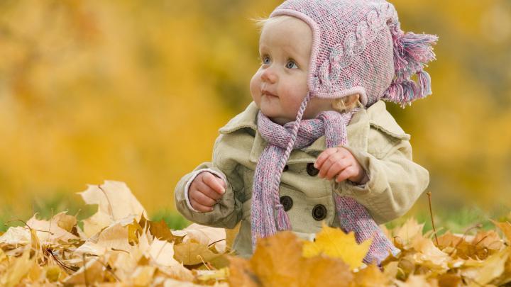 Cute Fall Wallpaper -