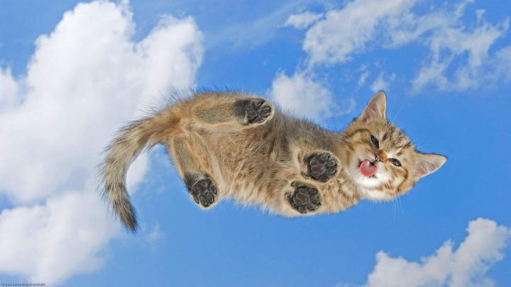 Cute wallpapers 1920x1080 Full HD (1080p) desktop backgrounds