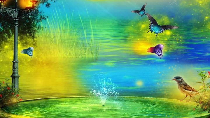 Cute HD Wallpaper | Background Image | 1920x1080 | 158206 