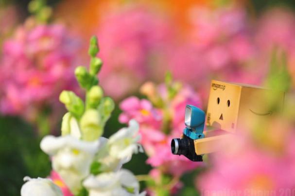 Wallpaper cute \u00b7\u2460 Download free awesome HD backgrounds for desktop and 