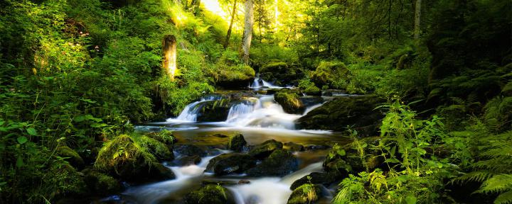 Free download Homepage Panoramic Wallpapers Panoramic wallpaper 