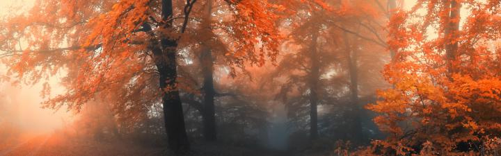 panorama wallpaper hd - HD Desktop Wallpapers