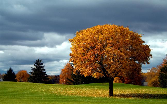 beautiful autumn pictures | HD Desktop Wallpapers