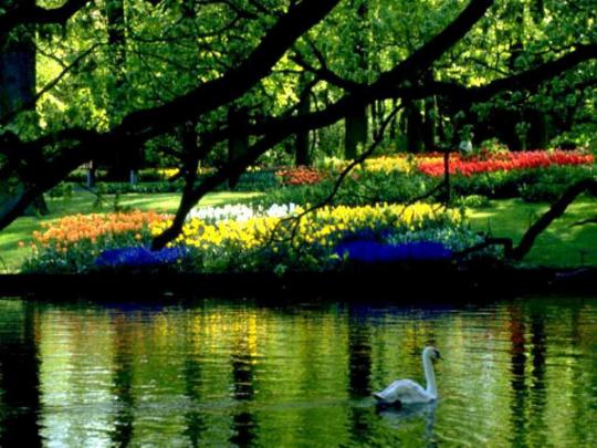 Free Desktop Wallpapers Spring Scenes