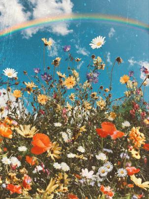 Aesthetic Spring Flowers Wallpapers | HD Background Images | Photos 