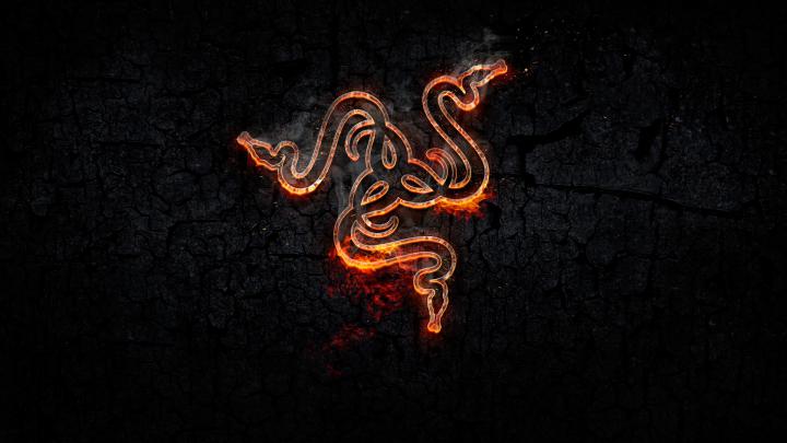 Razer Inc., Razer, Logo, Snake, Gaming Series, Orange Wallpapers HD 