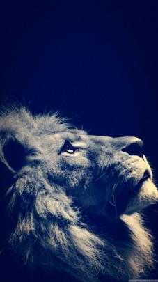 Samsung Galaxy S3 HD Wallpapers