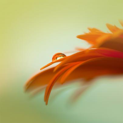 HD Wallpapers - Android, IOS, Windows Phone and Desktop: Samsung Galaxy 