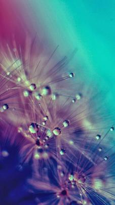 Samsung Galaxy S3 Wallpapers | Wallpaper Albums