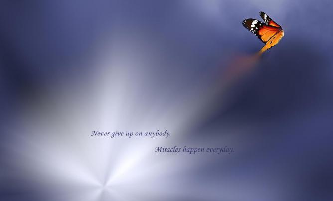Never give up HD desktop wallpaper : Widescreen : High Definition 