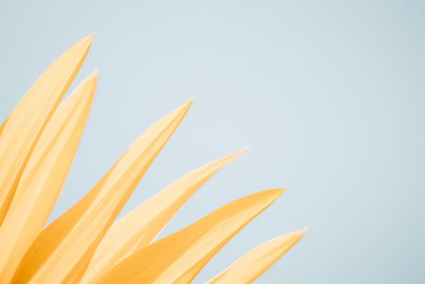 Aesthetic Pastel Desktop Wallpapers