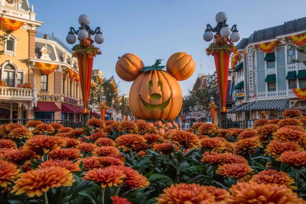 Every Reason to Visit Disneyland at Halloween