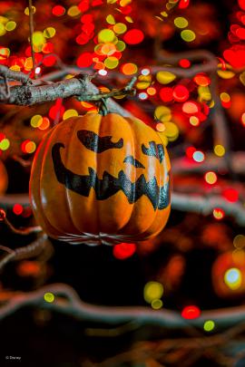 PHOTOS: New Halloween PhotoPass Wallpapers Now Available from Walt 