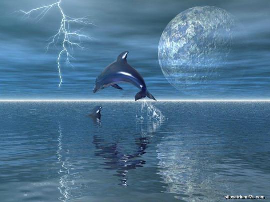 Free Dolphin Wallpapers For Desktop
