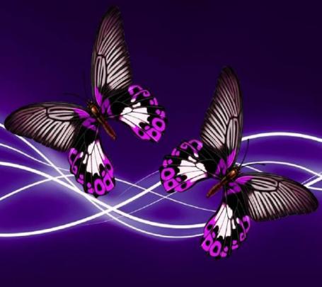 Download Download Free Wallpapers Zedge Gallery
