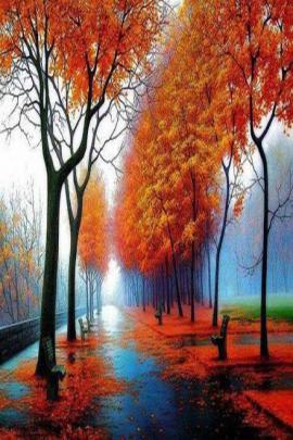 Download Beautiful Autumn Wallpaper by _LuCkyman_ - 7f - Free on ZEDGE 