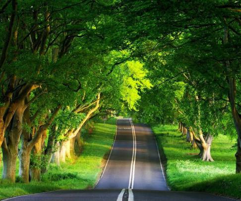 18+ Best Nature Wallpaper Zedge - Venera Wallpaper