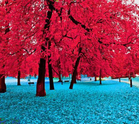 Download Zedge Nature Wallpapers Gallery
