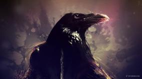 Crow Wallpaper 1920x1080