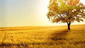 Download Background Wallpaper Desktop