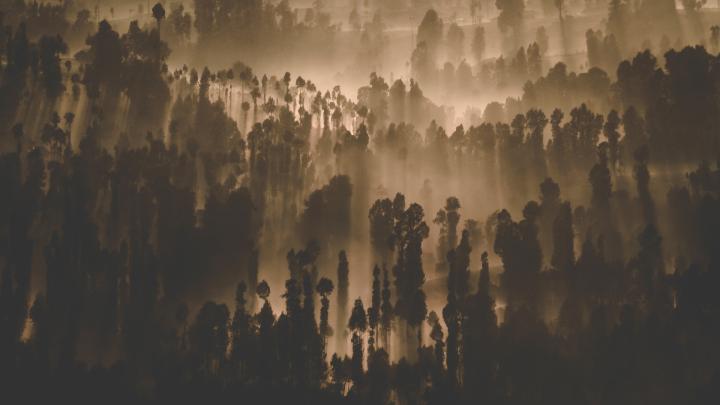 25++ Nature Dark Hd Wallpapers 1920x1080 - Basty Wallpaper