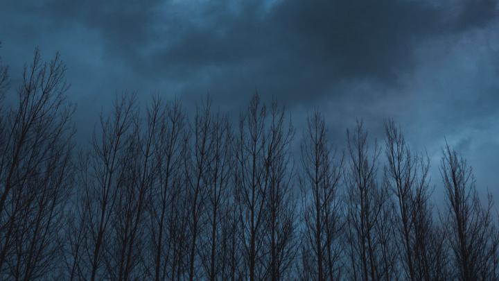 Download wallpaper 1920x1080 trees, sky, clouds, dark, nature full hd 