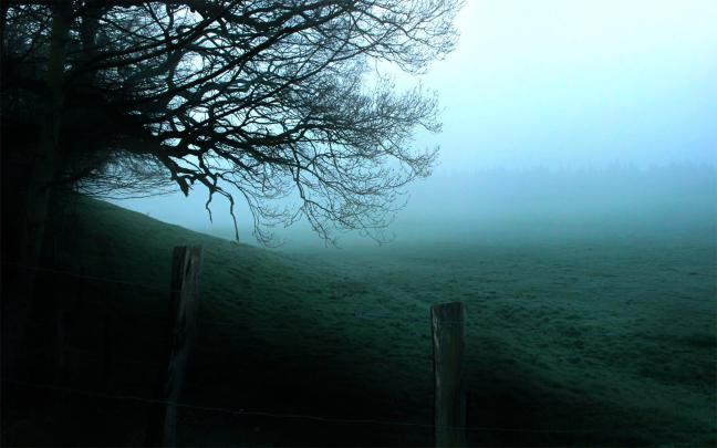 Haunted Forest Wallpaper (59+ images)