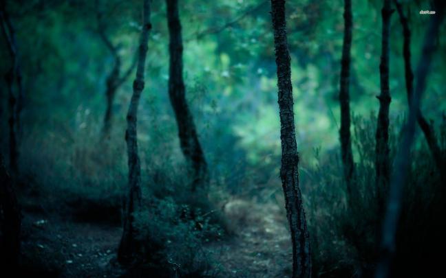 Dark Nature Wallpapers - Top Free Dark Nature Backgrounds - WallpaperAccess