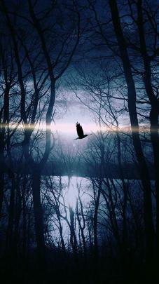 Dark Nature Wallpaper Phone - Licth - Nature Wallpaper Blog