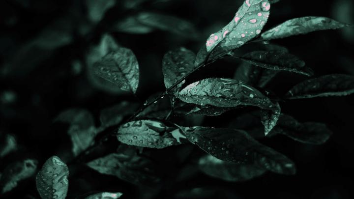 Free download Abstract Dark nature hd wallpapers [1600x900] for your 