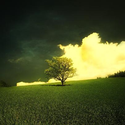 [47+] Abstract Nature Wallpaper 