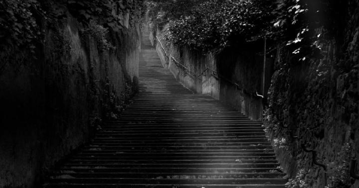 Full Hd Black And White Nature Wallpaper - White Wallpaper