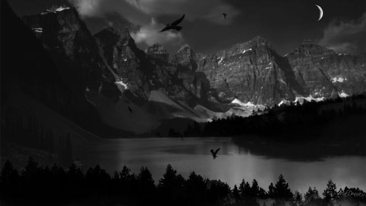 High Resolution Nature Desktop Backgrounds | Wallpaper Title : Dark 