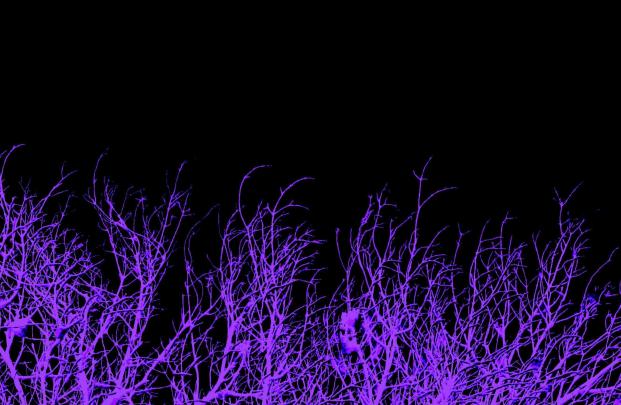 The Best 16 Neon Dark Purple Aesthetic Wallpaper Laptop - Tigreal Wallpaper