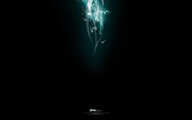 64K Ultra HD Black Wallpapers - Top Free 64K Ultra HD Black Backgrounds 
