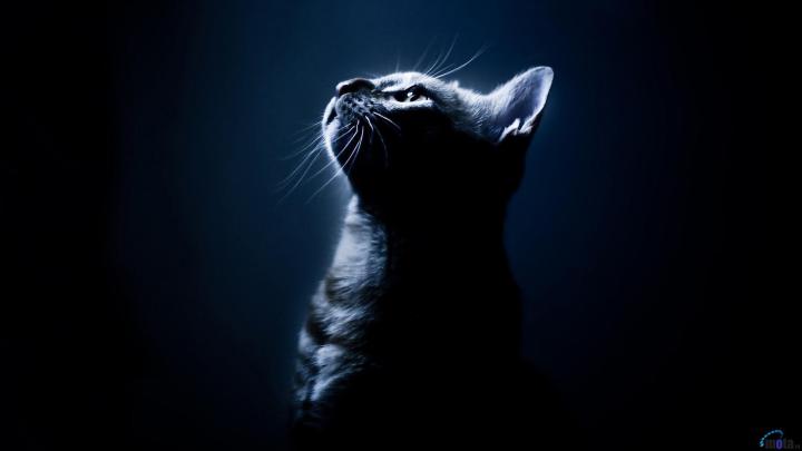 HD Dark Wallpapers (82+ pictures)